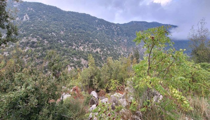 820m² Land for Sale in Wata El Joz