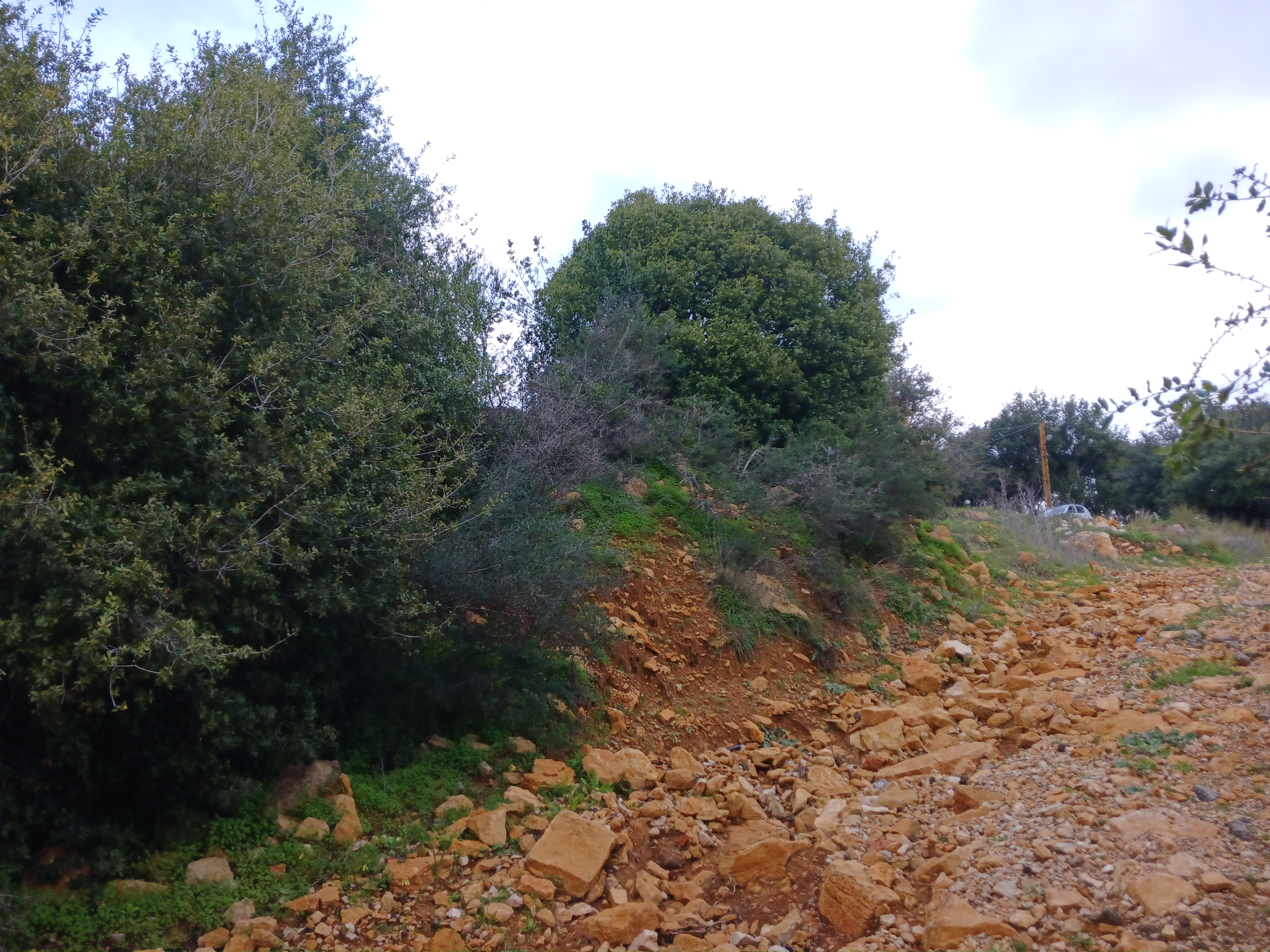 Abey, Aley, Mount Lebanon, ,Residential Land,Buy,10745871804