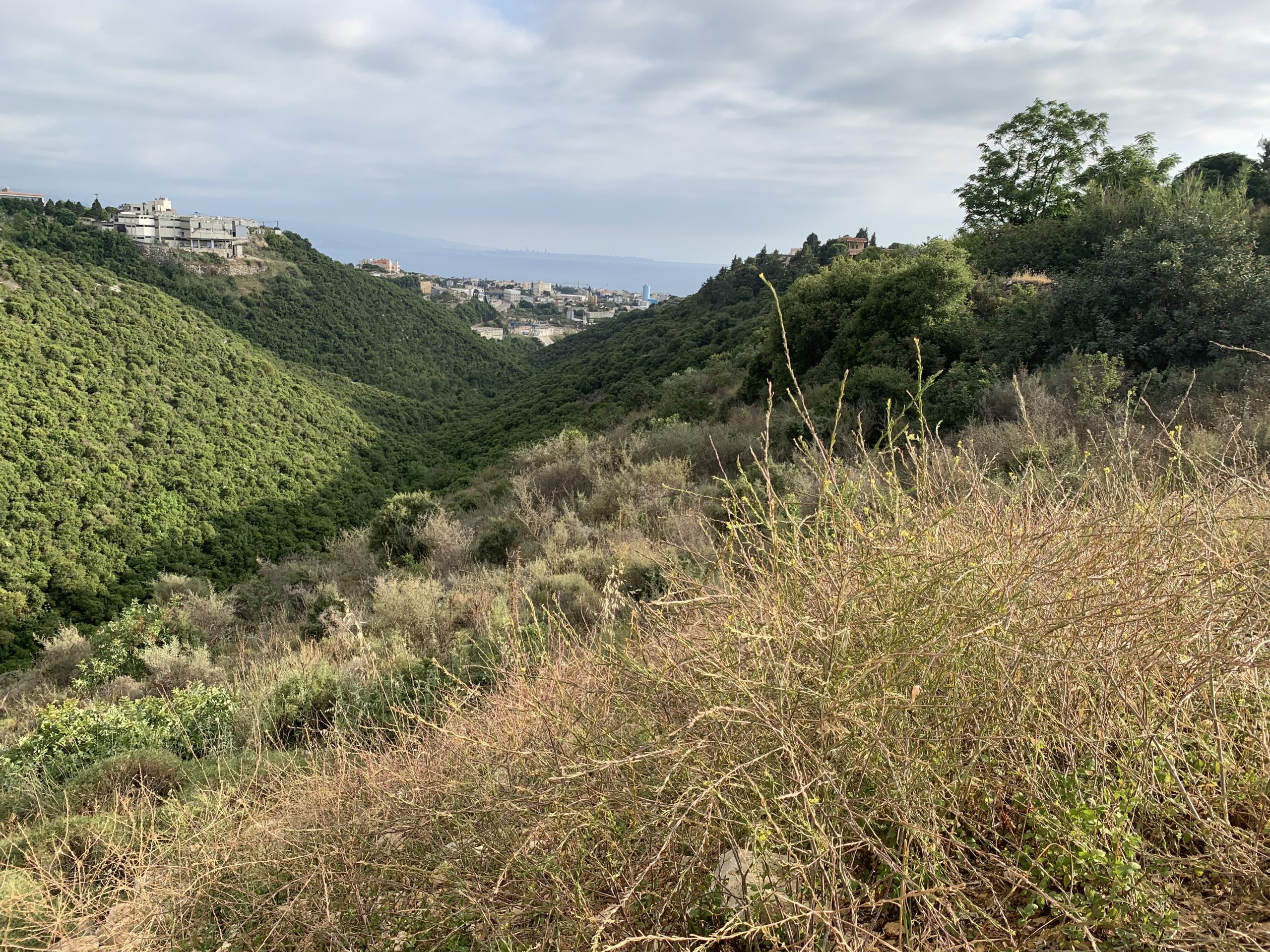 Shikhane, Jbeil, Lebanon, ,Residential Land,Buy,10644233446