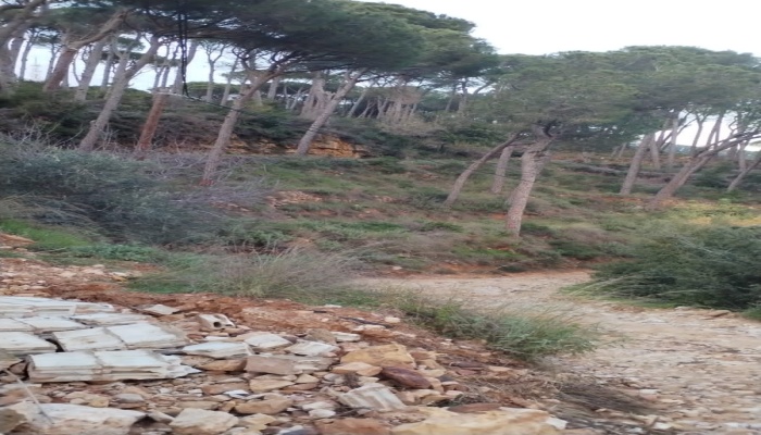 Beit Mery, Metn, Mount Lebanon, ,Residential Land,Buy,10652466166