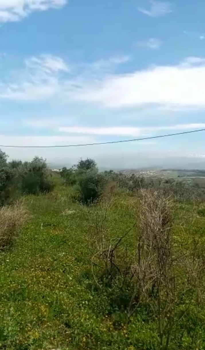 Bejdarfel, Batroun, Lebanon, ,Residential Land,Buy,11308832244