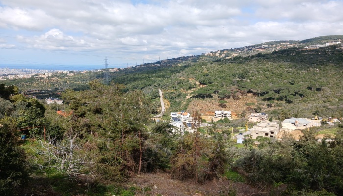 Serhamoul, Aley, Mount Lebanon, ,Commercial Land,Buy,11877094878