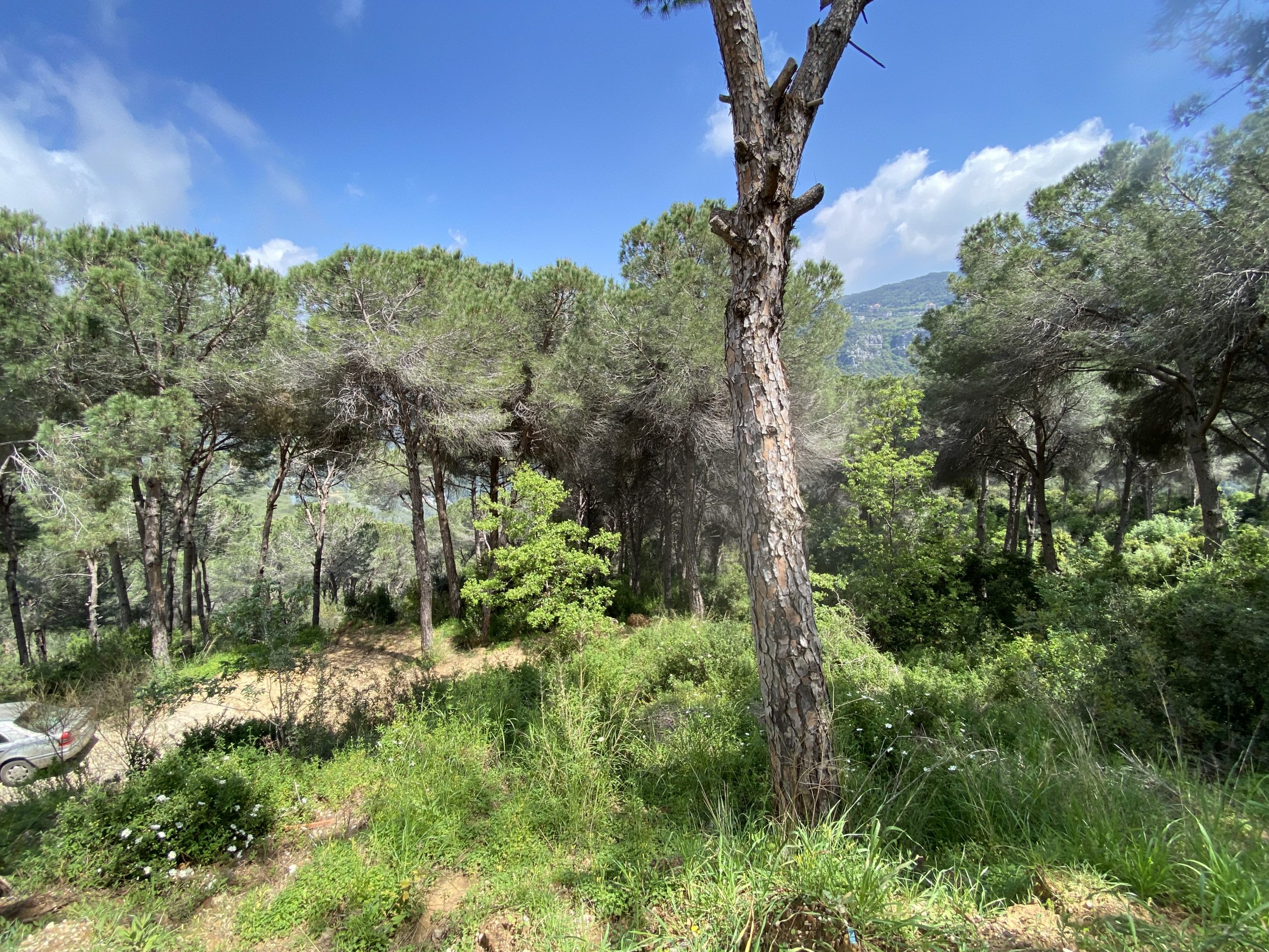 Beit Mery, Metn, Mount Lebanon, ,Residential Land,Buy,12585414645