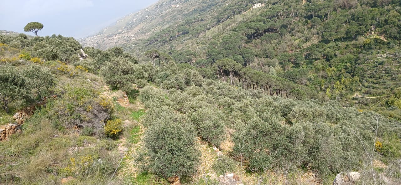 El Biry, Chouf, Mount Lebanon, ,Residential Land,Buy,12638910671