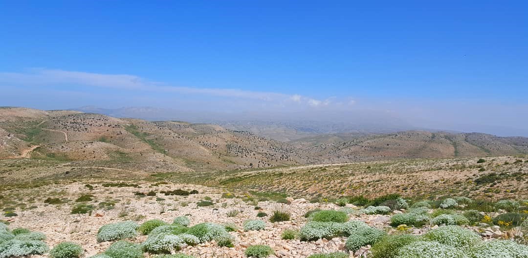 Kfardebian, Keserwen, Mount Lebanon, ,Residential Land,Buy,13359912136