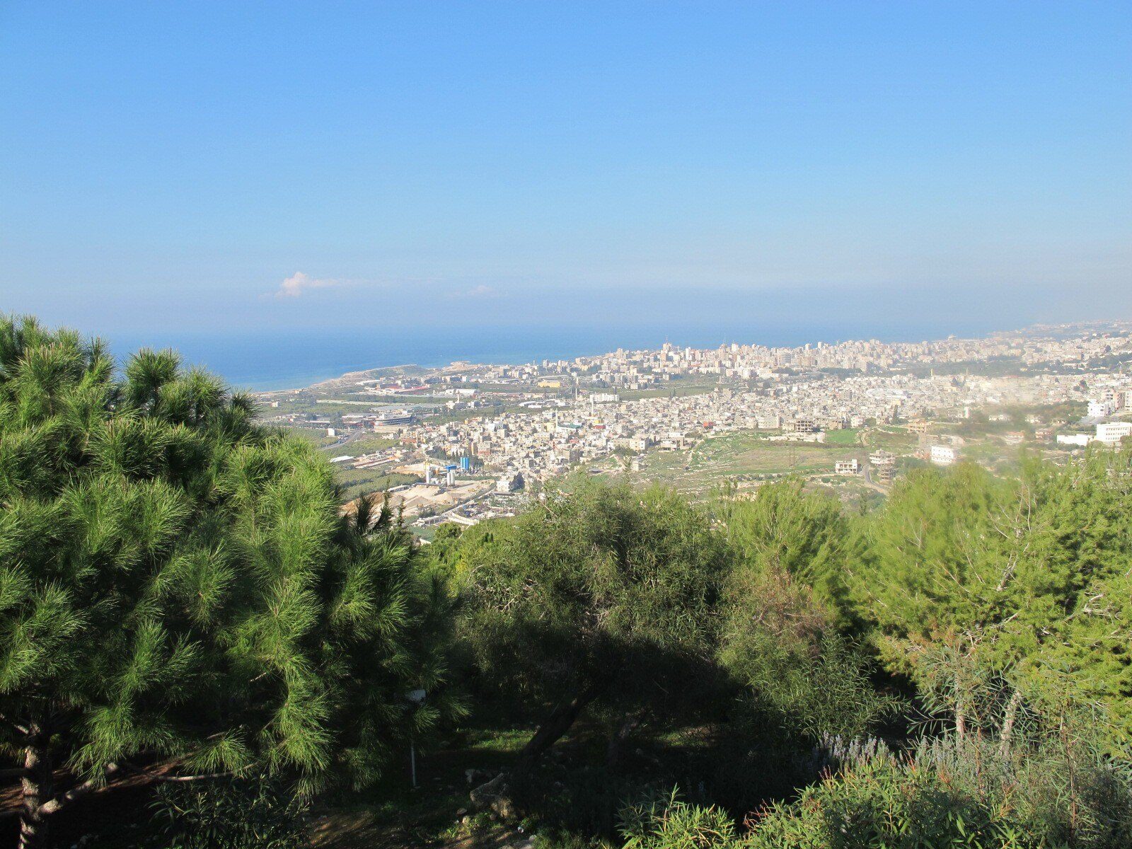 Ain Aannoub, Aley, Mount Lebanon, ,Residential Land,Buy,15406428658